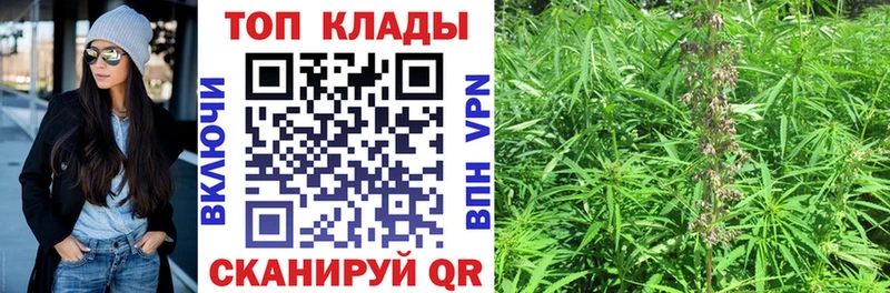 Где купить наркоту Мытищи Галлюциногенные грибы СК Каннабис ГАШИШ COCAIN