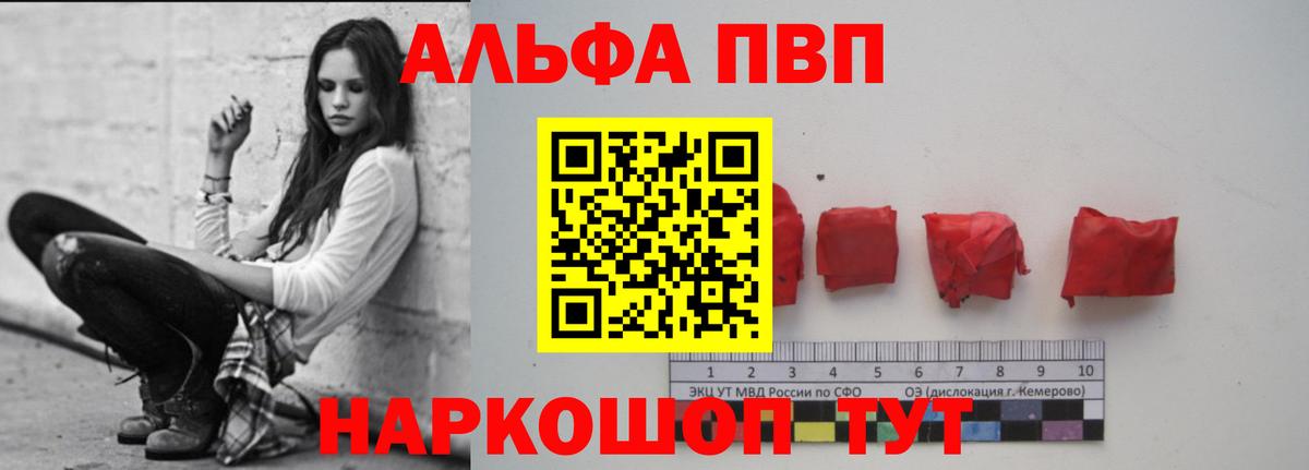 A-PVP СК Мытищи