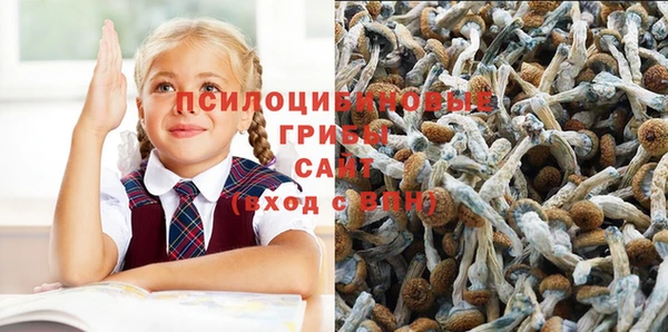 mix Няндома