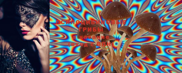 mix Няндома