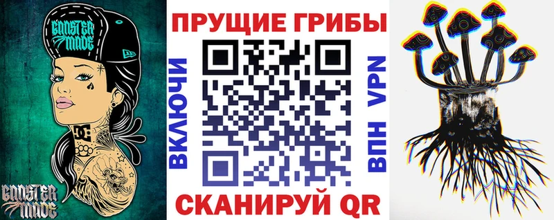 Псилоцибиновые грибы мухоморы Мытищи