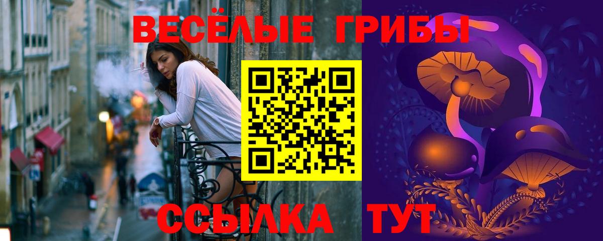 Галлюциногенные грибы GOLDEN TEACHER  Мытищи 